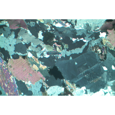 Gesteinsdünnschliffe, Basisserie 1, 1012495, Mikropräparate LIEDER