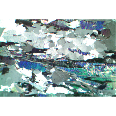 Gesteinsdünnschliffe, Basisserie 1, 1012495, Mikropräparate LIEDER