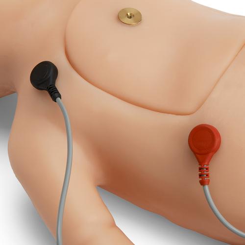 C.H.A.R.L.I.E. Neugeborenen- Wiederbelebungssimulator ohne interaktiven EKG-Simulator, 1021584, Wiederbelebung Neugeborene
