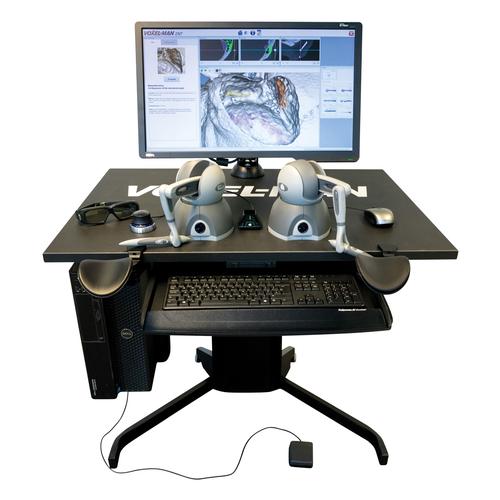 Voxel-Man ENT Full System Virtual Reality Simulator, 1022080, Hals-Nase-Ohren Untersuchung