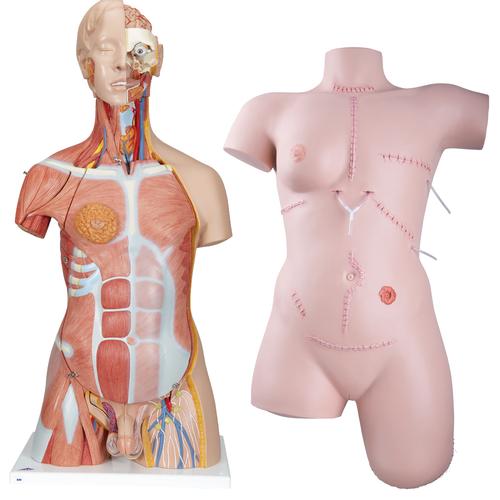 Basis-Pflege-Schulungsset, 8000869 [3011610], Anatomie Sets