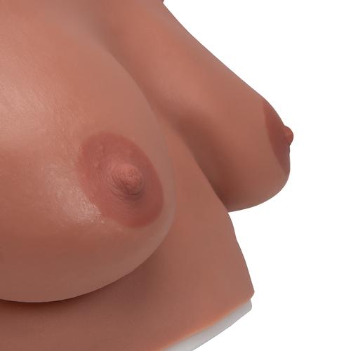 Brust-Tastmodell zum Umhängen, 1000343 [L51], Gesundheitserziehung - Frau