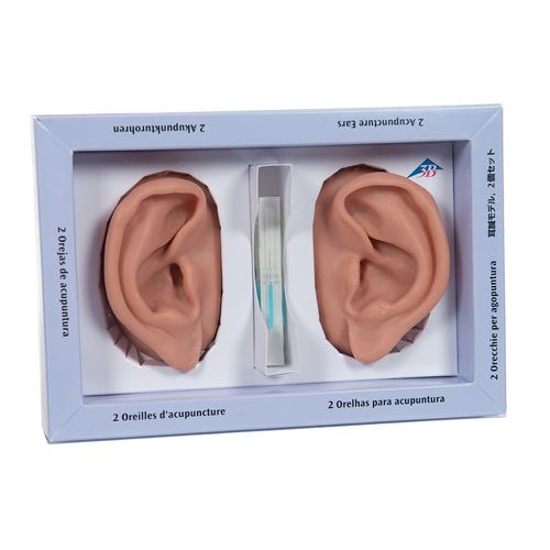 3B Akupunkturohrset, linkes und rechts Ohr mit 5 SEIRIN B--Typ Akupunkturnadeln., 1000373 [N15], Hals, Nase und Ohrenmodelle