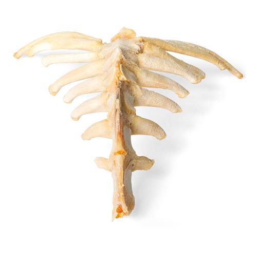 Pferd (Equus ferus caballus), Brustbein, 1021055 [T30059], Osteologie