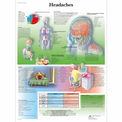 Lehrtafel - Headaches, 4006719 [VR1714UU], Gehirn und Nervensystem