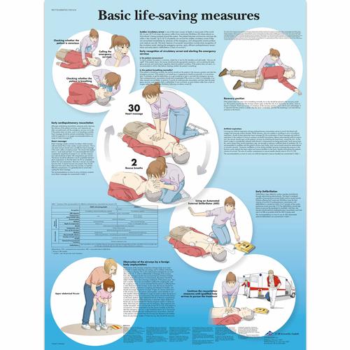 Lehrtafel - Basic Life Support, 1001616 [VR1770L], CPR und Erste Hilfe Zubehör
