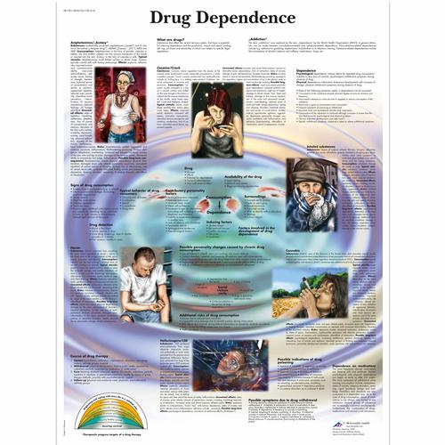 Lehrtafel - Drug Dependence, 1001618 [VR1781L], Gefahren des Rauchens