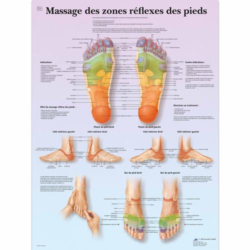 Lehrtafel - Massage des zones réflexes, 1001793 [VR2810L], Akupunktur