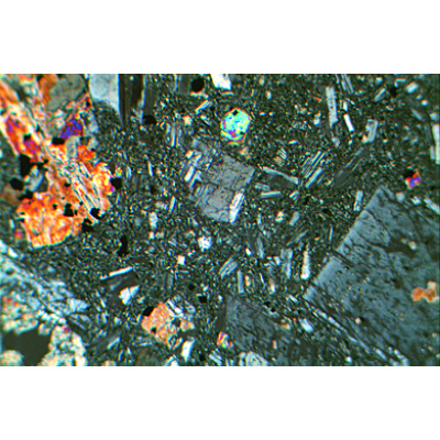 Gesteinsdünnschliffe, Basisserie 2, 1012498 [W13455], Petrographie