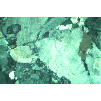 Gesteinsdünnschliffe, Basisserie 2, 1012498 [W13455], Petrographie