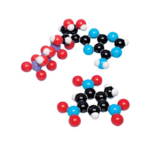 Molekülbausatz Biochemie D, molymod®, 1005280 [W19702], Molekülbausätze