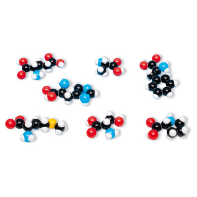 Satz 8 Aminosäuren, molymod®-Bausatz, 1005288 [W19712], Molekülmodelle
