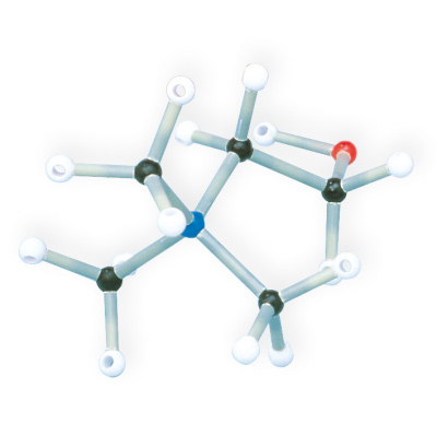 Schülersatz 255 Biochemie, Orbit™-Bausatz, 1005305 [W19804], Molekülbausätze