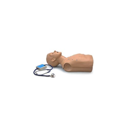 Erwachsenen-Rumpfsimulator mit Herz- und Lungentönen, 1019857 [W45099], Auskultation