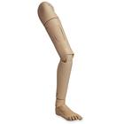 Vollständiges rechtes Bein für KERi/GERi, 1019746, Krankenpflege Geriatrie
