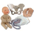 Childbirth Education Model Set Standard Pelvis with beige fetal model, 1023096, Geburtshilfe