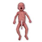Frühgeborenes Baby helle Haut / männlich
, 1024669, Medizinische Simulatoren