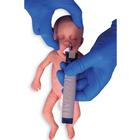 Frühgeborenes Baby helle Haut  / Weiblich 
, 1024671, Medizinische Simulatoren