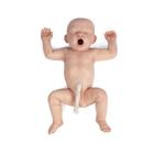 Neugeborenes Baby helle Haut / Männlich
, 1024673, Medizinische Simulatoren