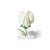 Erbsenblüte (Pisum sativum), Modell, 1000535 [T21026], Zweikeimblättrige Pflanzen (Small)