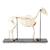 Pferdeskelett (Equus ferus caballus), männlich, Präparat, 1021003 [T300141m], Nutztiere (Small)