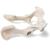 Hund (Canis lupus familiaris), Becken, 1021062 [T30065], Osteologie (Small)