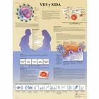 Lehrtafel - VIH y SIDA, 1001939 [VR3725L], Sexualaufklärung