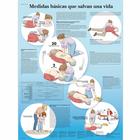 Lehrtafel - Medidas básicas que salvan, 4006889 [VR3770uu], Notfall und Herz-Lungen-Reanimation
