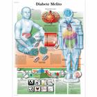 Diabete Melito, 1002167 [VR5441L], Stoffwechselsystem