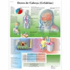 Dores de Cabeça, 4007012 [VR5714UU], Gehirn und Nervensystem