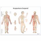 Acupuntura Corporal, 1002207 [VR5820L], Akupunktur Modelle und Lehrtafeln