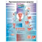 Медицинский плакат "Противозачаточные меры", 1002321 [VR6591L], Gynäkologie