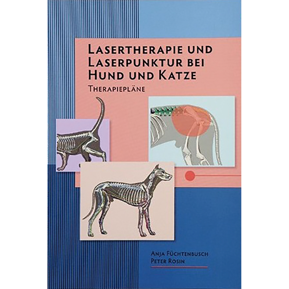 Lasertherapie Und Akupunktur Bei Hund Und Katze