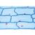 Die Pflanzenzelle - Französisch, 1003937 [W13024F], Mikropräparate LIEDER (Small)