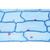 Die Pflanzenzelle - Spanisch, 1003939 [W13024S], Mikropräparate LIEDER (Small)
