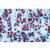 Blütenpflanzen II. Zellen und Gewebe - Englisch, 1003975 [W13046], Mikropräparate LIEDER (Small)