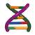 DNA-Doppelhelix-Modell, Schülerbausatz, 1005300 [W19780], Bau und Funktion der DNA (Small)